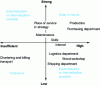 Figure 1 - Internal skills and the place of departments and functions in the strategy