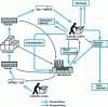 Figure 7 - Physical and financial flows