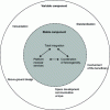 Figure 13 - Diagram of a model integrating temporary and ephemeral logistics (source: adapted from Salaun et al.).