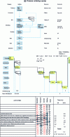 Figure 19 - Evolution of graphics – Case study