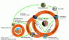 Figure 10 - Wood pallets and the 7 pillars of the circular economy