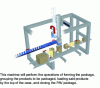 Figure 4 - Example of a 2-axis vertical case packer (Crédit Cermex)