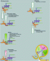 Figure 17 - ZR procedure – Saturated steam treatment