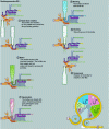 Figure 18 - DR procedure – Steam and sterile air treatment