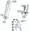 Figure 7 - Schematic diagram of a bucket elevator with centrifugal discharge or jetty return.