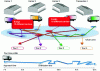 Figure 2 - Urban distribution without CDU (Transport Interface Credit)