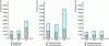 Figure 3 - Main east-west container traffic