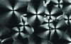 Figure 6 - Isotactic poly(propylene oxide) spherulites (photo by J.-C. Wittmann, Institut Charles Sadron, CNRS)