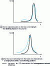 Figure 19 - Effects of morphological heterogeneities on glass transition