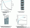 Figure 3 - Striction example for polycarbonate (PC) and polyamide 66 (PA 66)