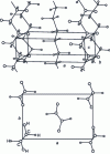 Figure 1 - Polyethylene crystal structure