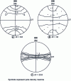 Figure 11 - Figures of 200 (a-axis) and 020 (b-axis) poles of A-series films produced at an inflation ratio of around 1 [7].