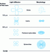 Figure 19 - Correlation between light scattering patterns and morphologies in the thickness of a 2 mm thick polyamide 12 injection-molded part