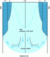 Figure 20 - Interpretation of the layers and zones observed in an injected acetal copolymer [16].