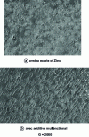 Figure 7 - Surface evaluation of REM-molded BMC parts