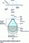 Figure 1 - Main signals in the TEM and SEM, with a schematic indication of their origin