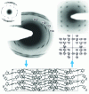 Figure 12 - Study the structure of a polyazomethine using numerical modeling software that compares observed and simulated diffraction patterns to refine the initial model (Cerius 2 from MSI).