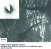 Figure 4 - Dark-field image of Langmuir-Blodgett film formed by polycaprolactone chains attached to hydrophilic groups