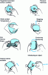 Figure 2 - Exploratory procedures according to