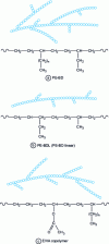 Figure 1 - Structure of various low-density PEs