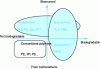 Figure 1 - Biopolymer classification