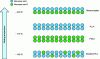 Figure 11 - Different PLA microstructures