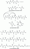 Figure 17 - Main reactions involved in the thermal degradation of PLA