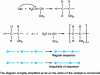 Figure 2 - Principle of polymerization