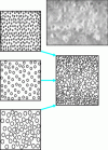 Figure 2 - Light" structure