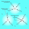 Figure 8 - Gas diffusion mechanism