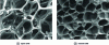 Figure 1 - Different
types of foam