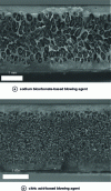 Figure 13 - Morphologies of a polypropylene lightened with two types of reactive
agent [10].