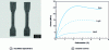 Figure 25 - Tensile tests on lightweight polypropylene 2.5 mm thick (test speed
50 mm·min–1) [18]