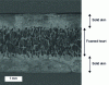 Figure 5 - Typical
thermoplastic foam structure