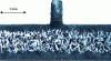 Figure 8 - Cross-section
of a lightened part obtained by physical injection (doc.Mecaplast)