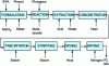 Figure 2 - General production diagram for polycarbonate resin