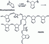 Figure 1 - Production of polydicyclopentadiene (PDCPD)