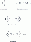 Figure 1 - Two-step synthesis of bismaleimide