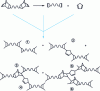 Figure 5 - Possible cross-linking mechanisms