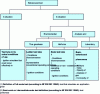 Figure 2 - Classification of fire behavior tests