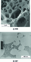 Figure 13 - Microphotographs of a polyHIPE material functionalized with palladium nanoparticles