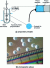 Figure 6 - PolyHIPE W/O beads obtained by suspension polymerization