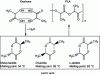 Figure 18 - PLA synthesis reaction