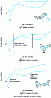 Figure 28 - Complex modules observed for molten polymers of the same type (polyisoprene) and with different structures: linear, star-shaped, and H-shaped.