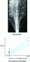 Figure 9 - Input effects and Couette-Bagley correction