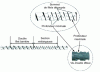 Figure 4 - Example of VBET barrier screw with mixing section (R. Barr patent)