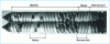 Figure 4 - State of the material in a corotating twin-screw extruder (CEMEF documentation)