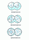 Figure 8 - Geometric definition of conjugate screw sections