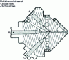 Figure 31 - Multi-channel industry