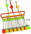 Figure 40 - Multiband multichannel die comb feeds